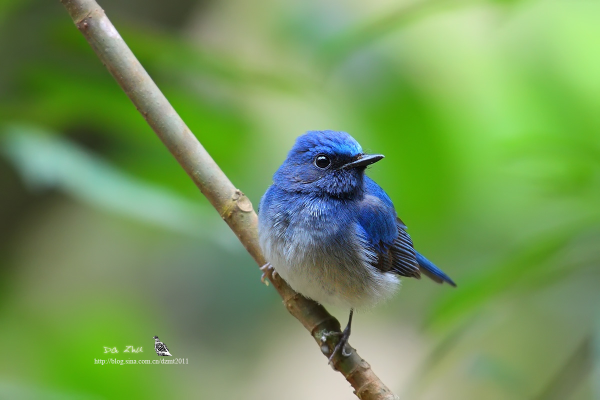 上传的图片