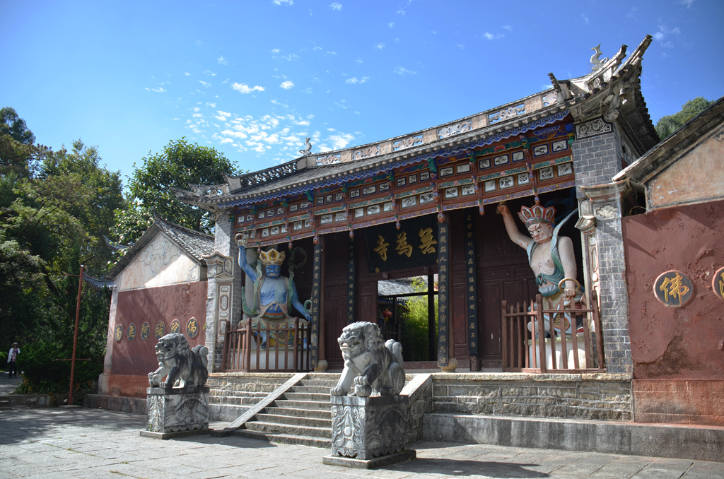 上传的图片