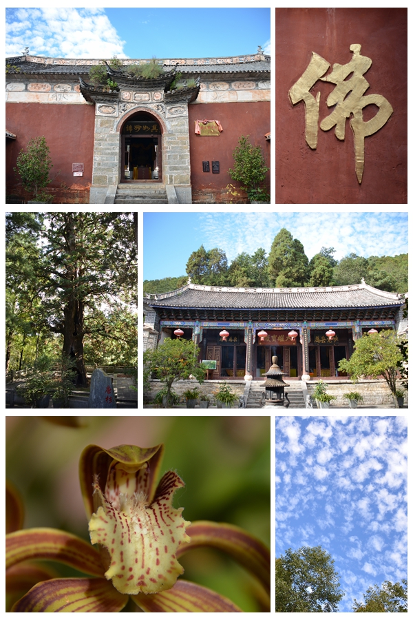 上传的图片