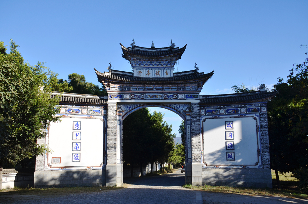 上传的图片