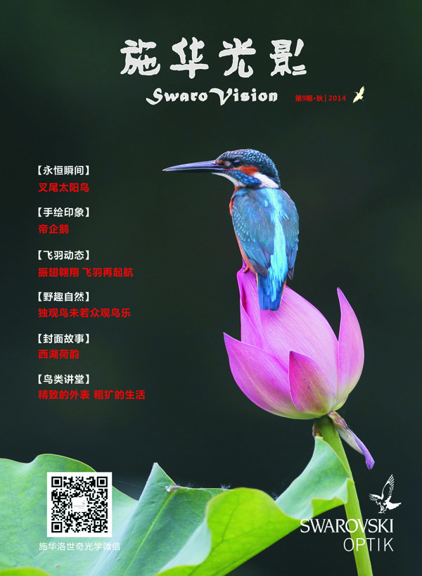 上传的图片