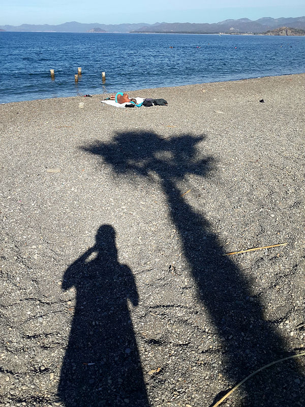 上传的图片