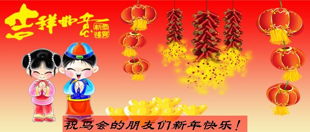 上传的图片