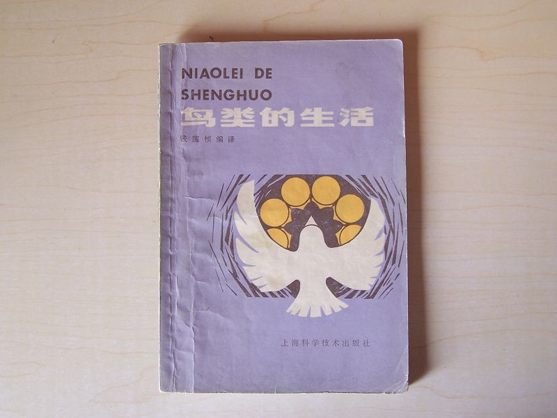 上传的图片