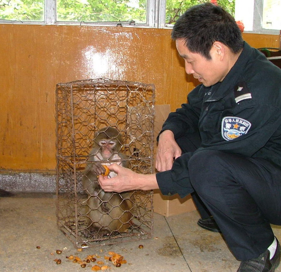 上传的图片