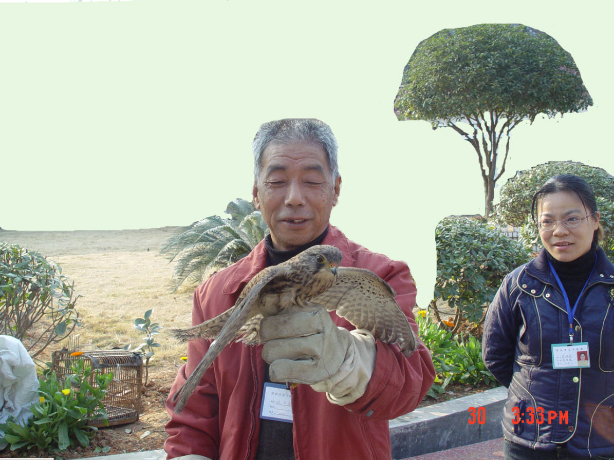 上传的图片