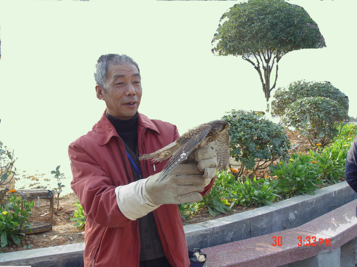 上传的图片