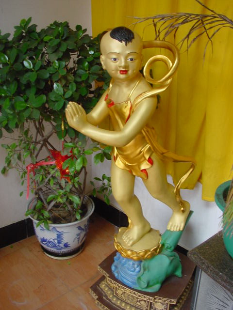 上传的图片