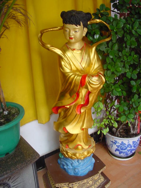 上传的图片