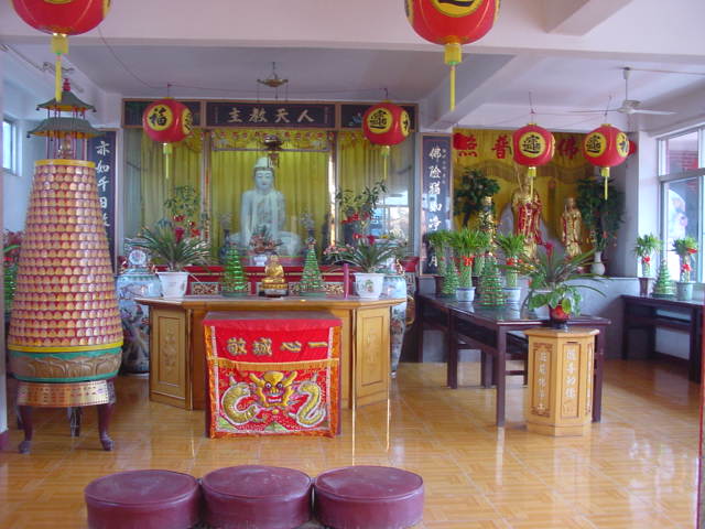 上传的图片