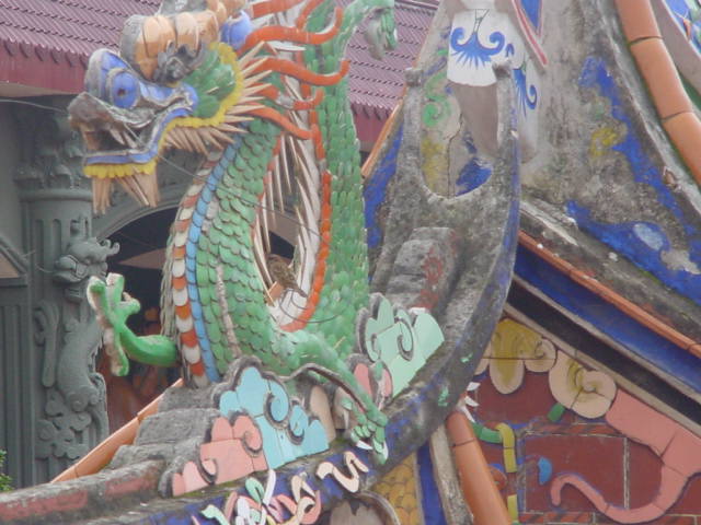 上传的图片