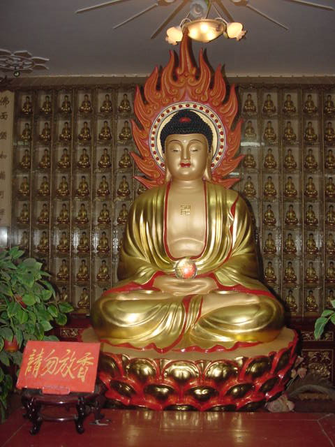 上传的图片