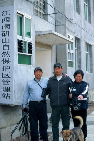 上传的图片