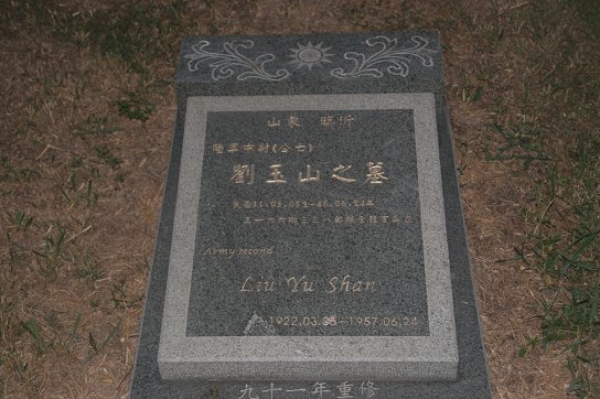 上传的图片