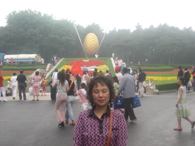上传的图片