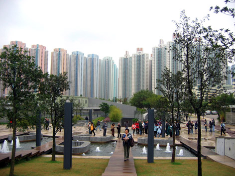 上传的图片