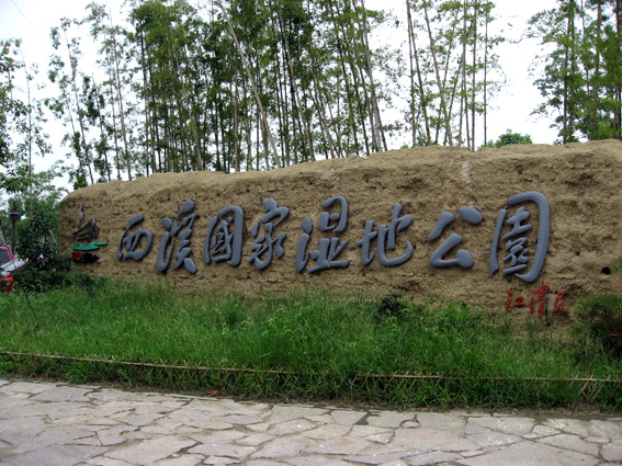 上传的图片