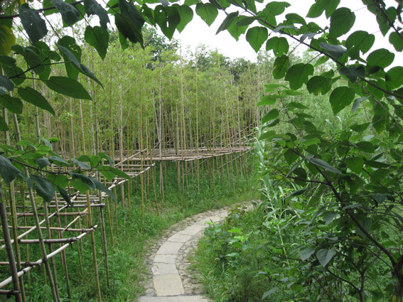 上传的图片