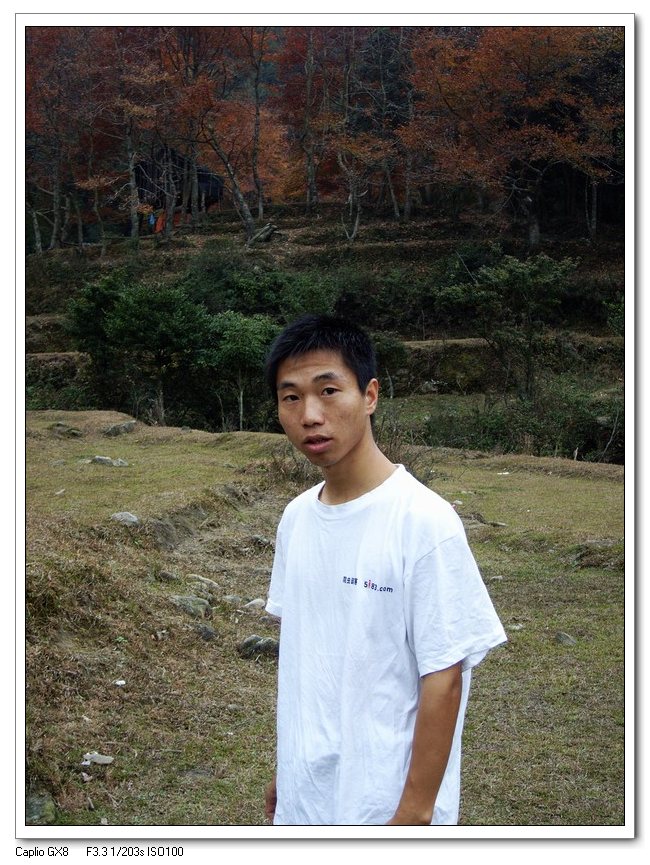 上传的图片