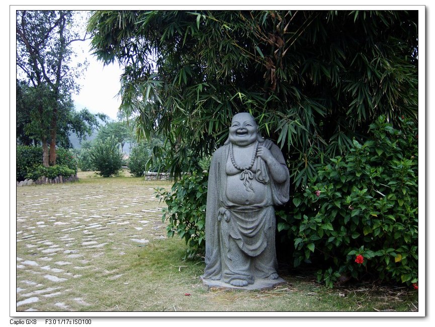 上传的图片
