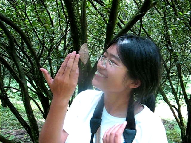 上传的图片