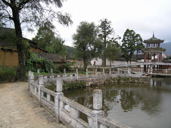上传的图片