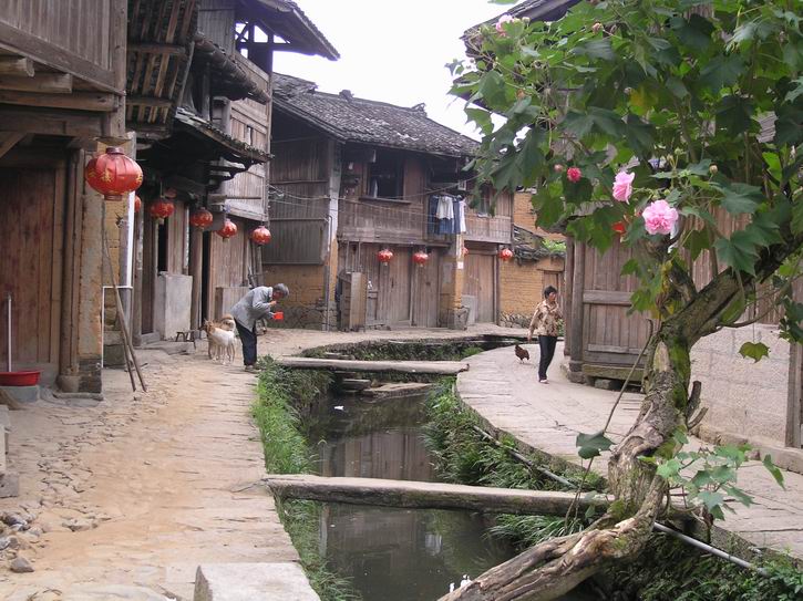 上传的图片
