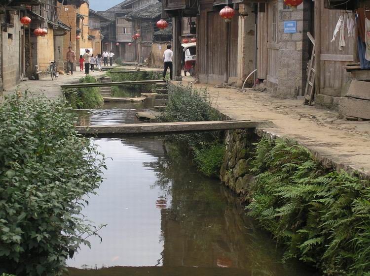 上传的图片