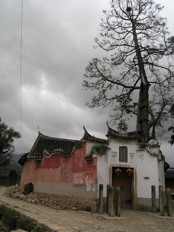 上传的图片