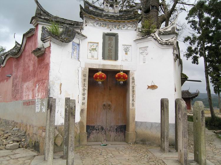 上传的图片