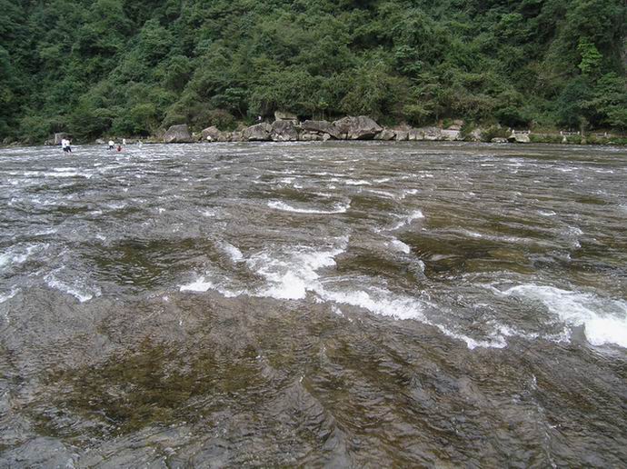 上传的图片