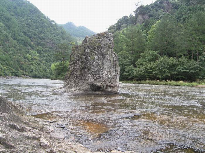 上传的图片
