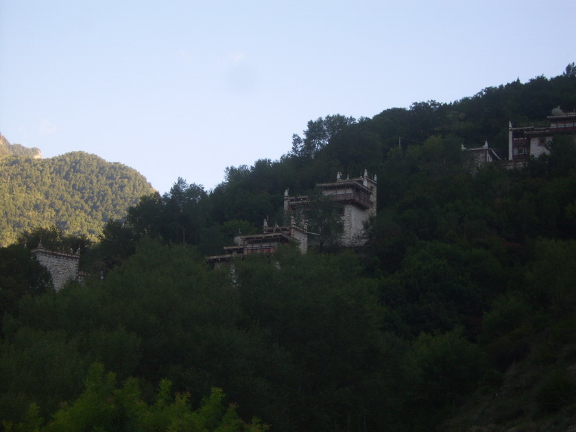 上传的图片