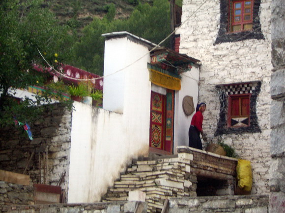 上传的图片