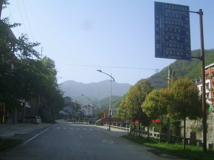 上传的图片