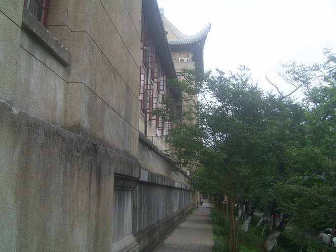 上传的图片