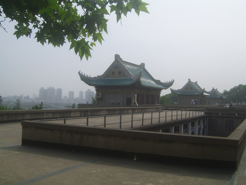 上传的图片