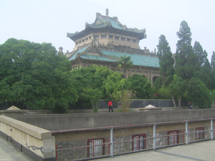 上传的图片