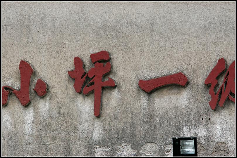 上传的图片