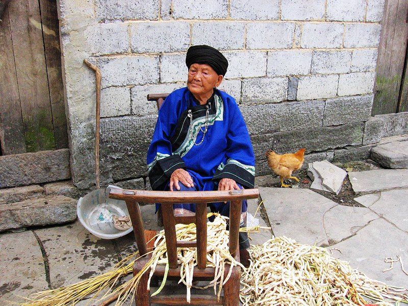 上传的图片