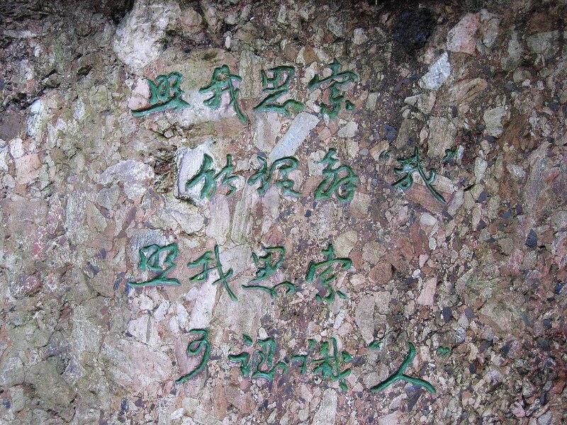 上传的图片