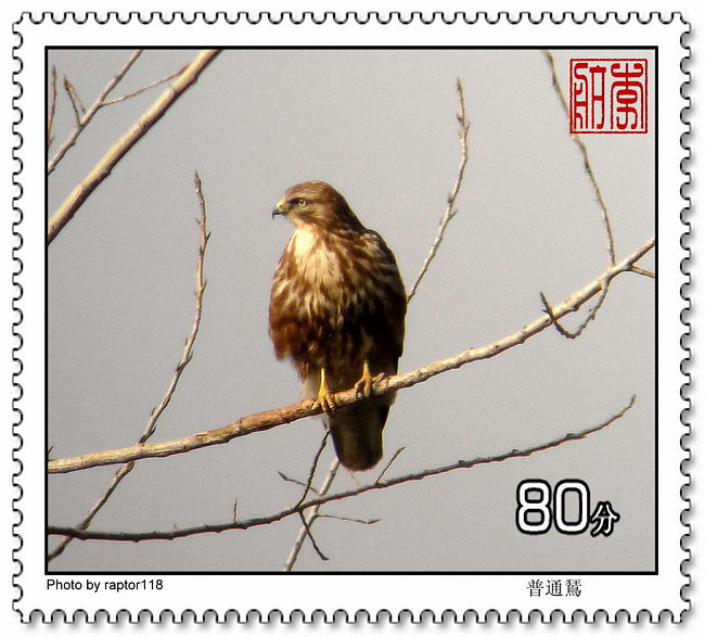 上传的图片