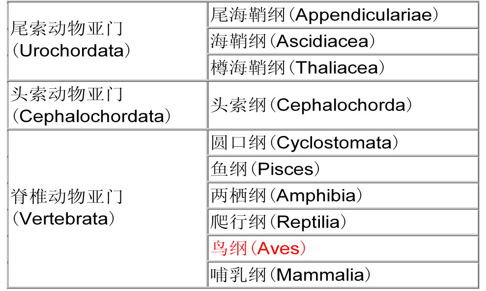 上传的图片