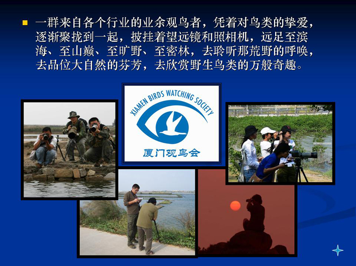 上传的图片