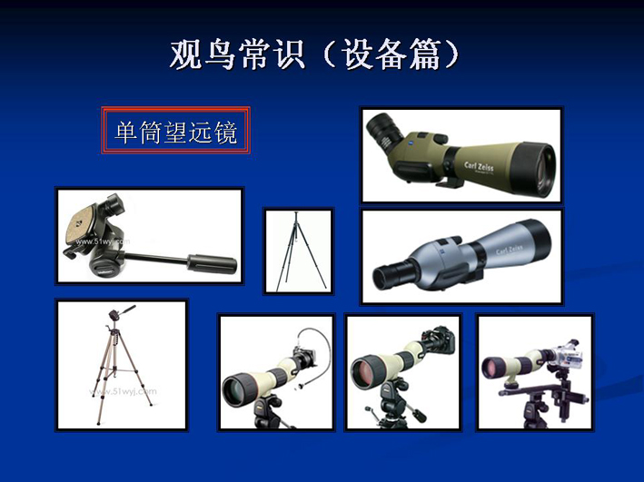 上传的图片