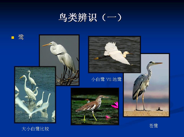 上传的图片