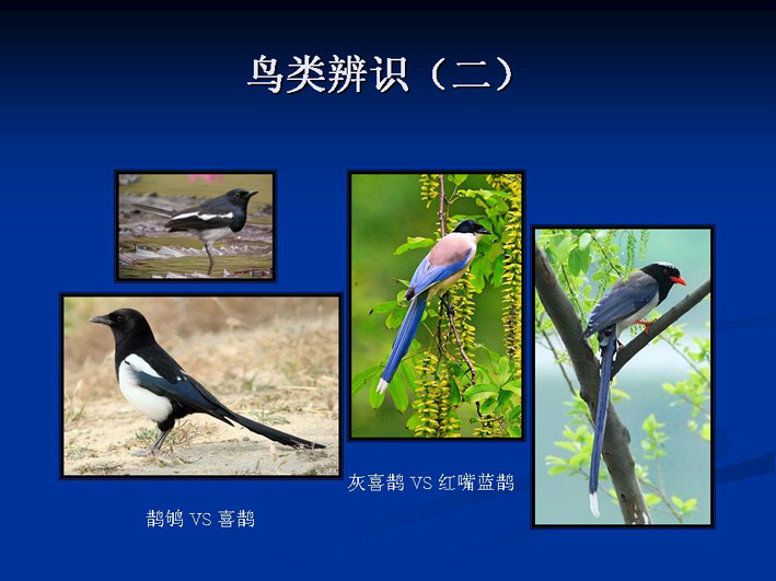 上传的图片