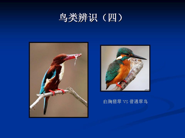 上传的图片