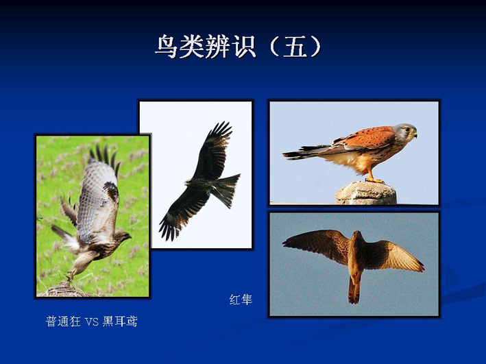 上传的图片