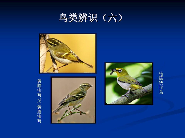 上传的图片